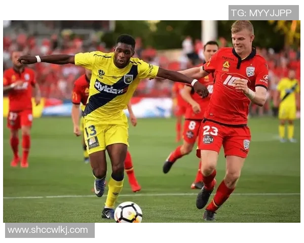 布里斯班狮吼与中央海岸水手精彩对决赛果揭晓分析