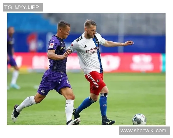 汉堡队与奥斯纳布队的激烈对决回顾及精彩瞬间分析